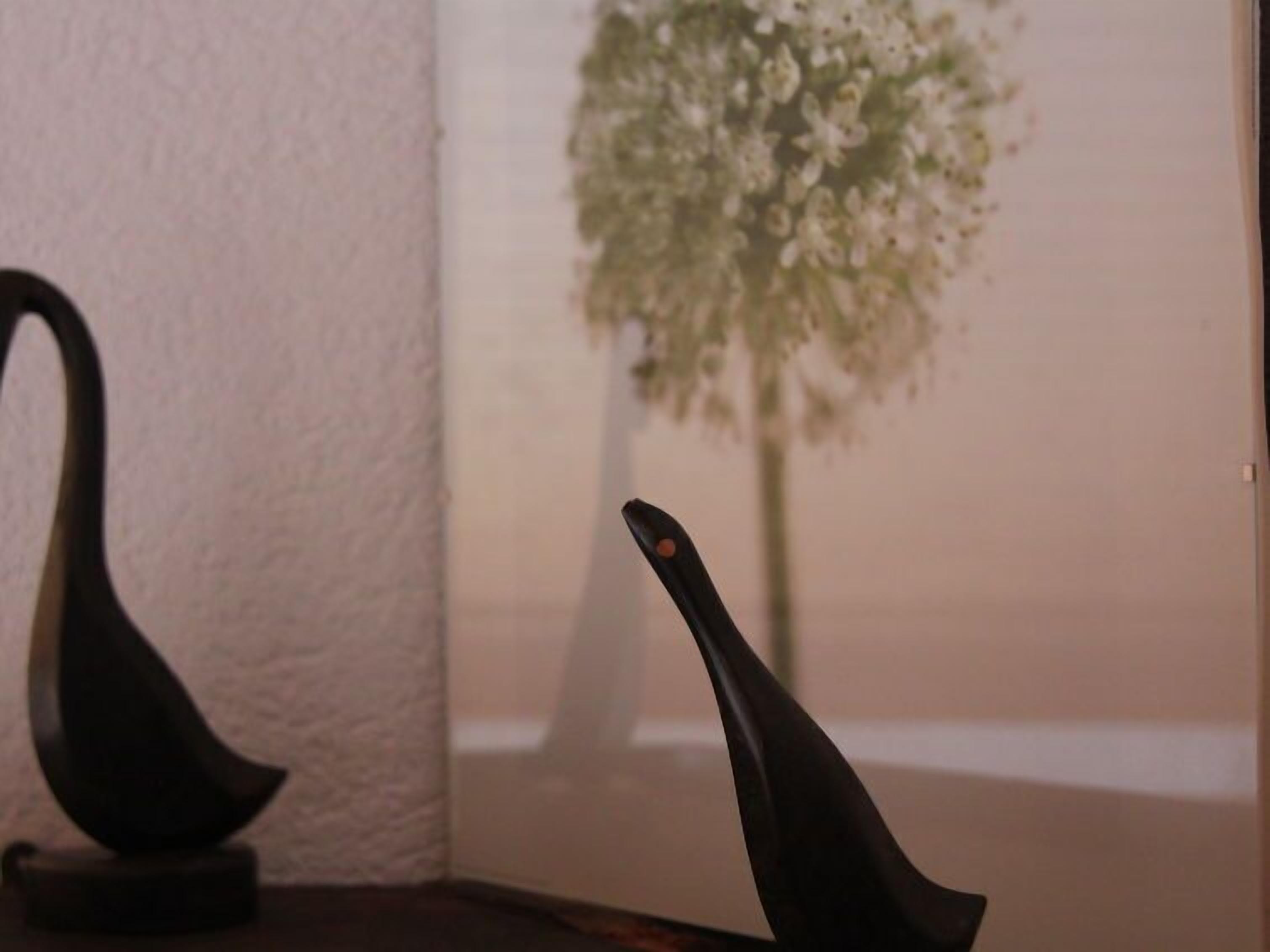 Esquina de una habitación con una pared blanca texturizada y un fondo desenfocado que incluye una planta.