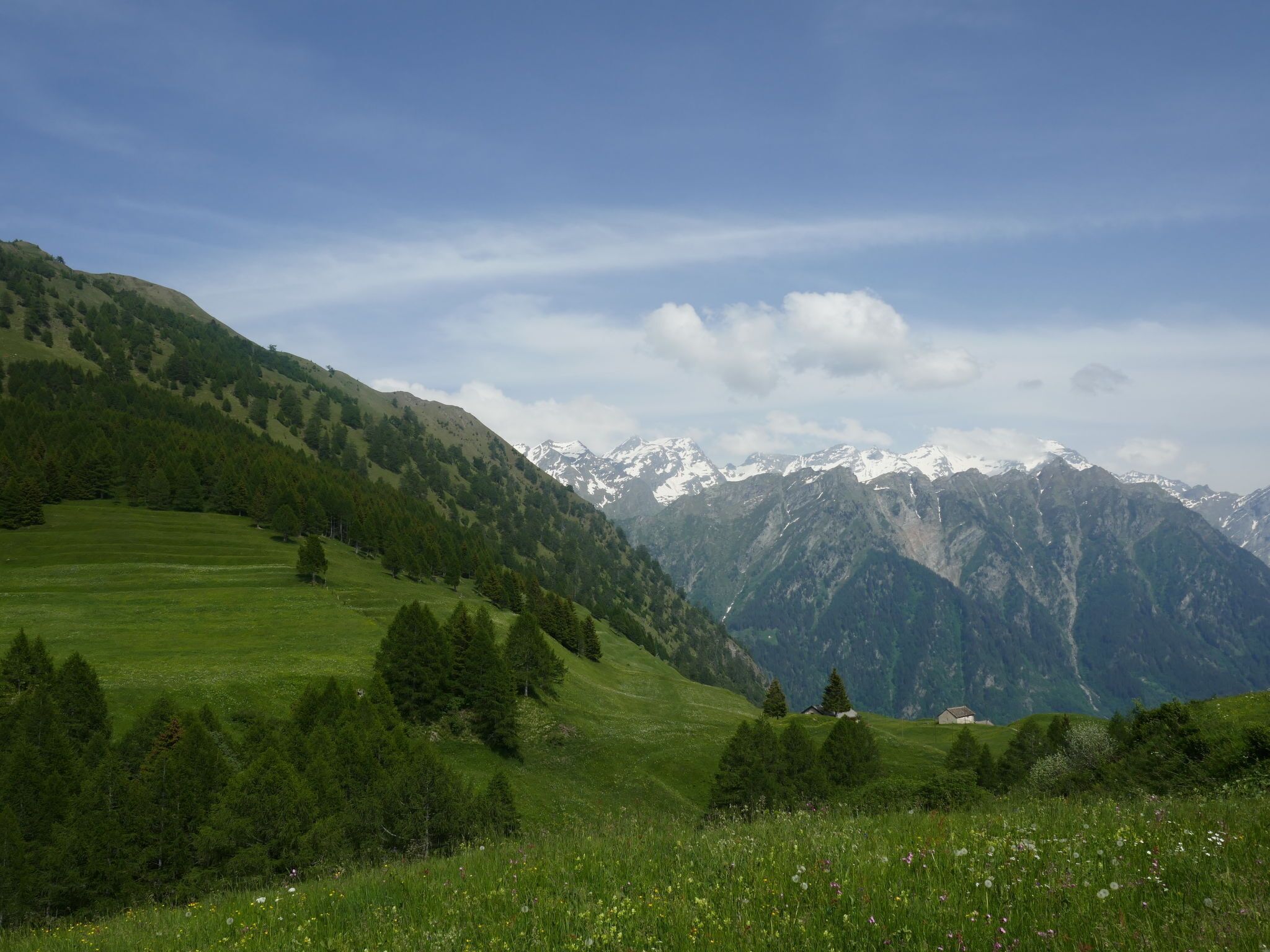 Un paysage montagneux avec des champs verdoyants, des arbres et une maison située dans la vallée.
