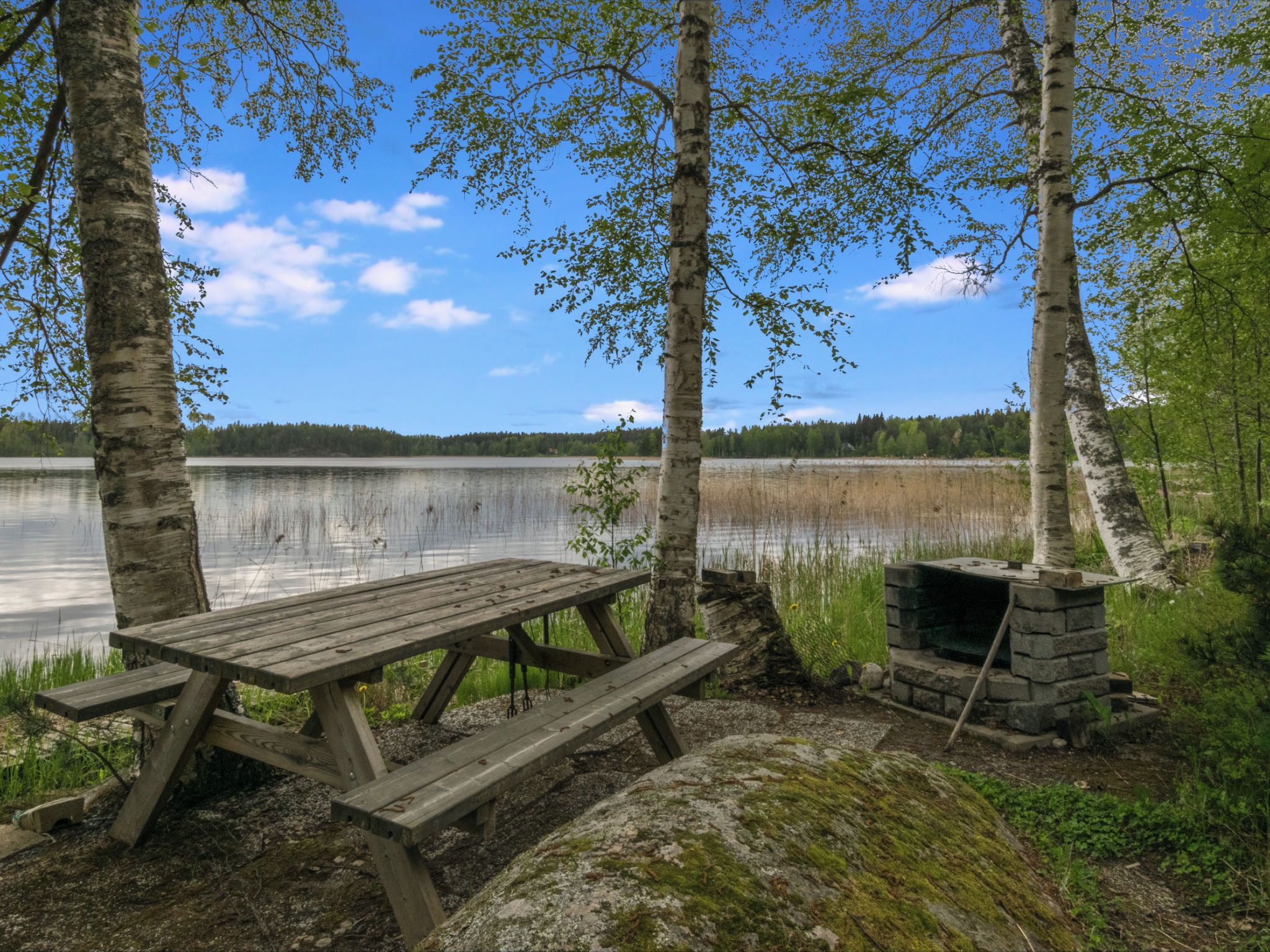 Una mesa de picnic de madera con bancos, una chimenea de piedra y abedules en un entorno junto al lago.