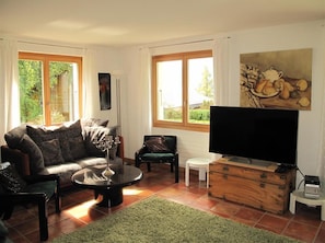 TV, fireplace, DVD player