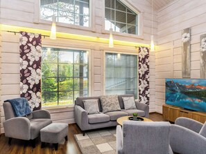 電視、DVD 播放機