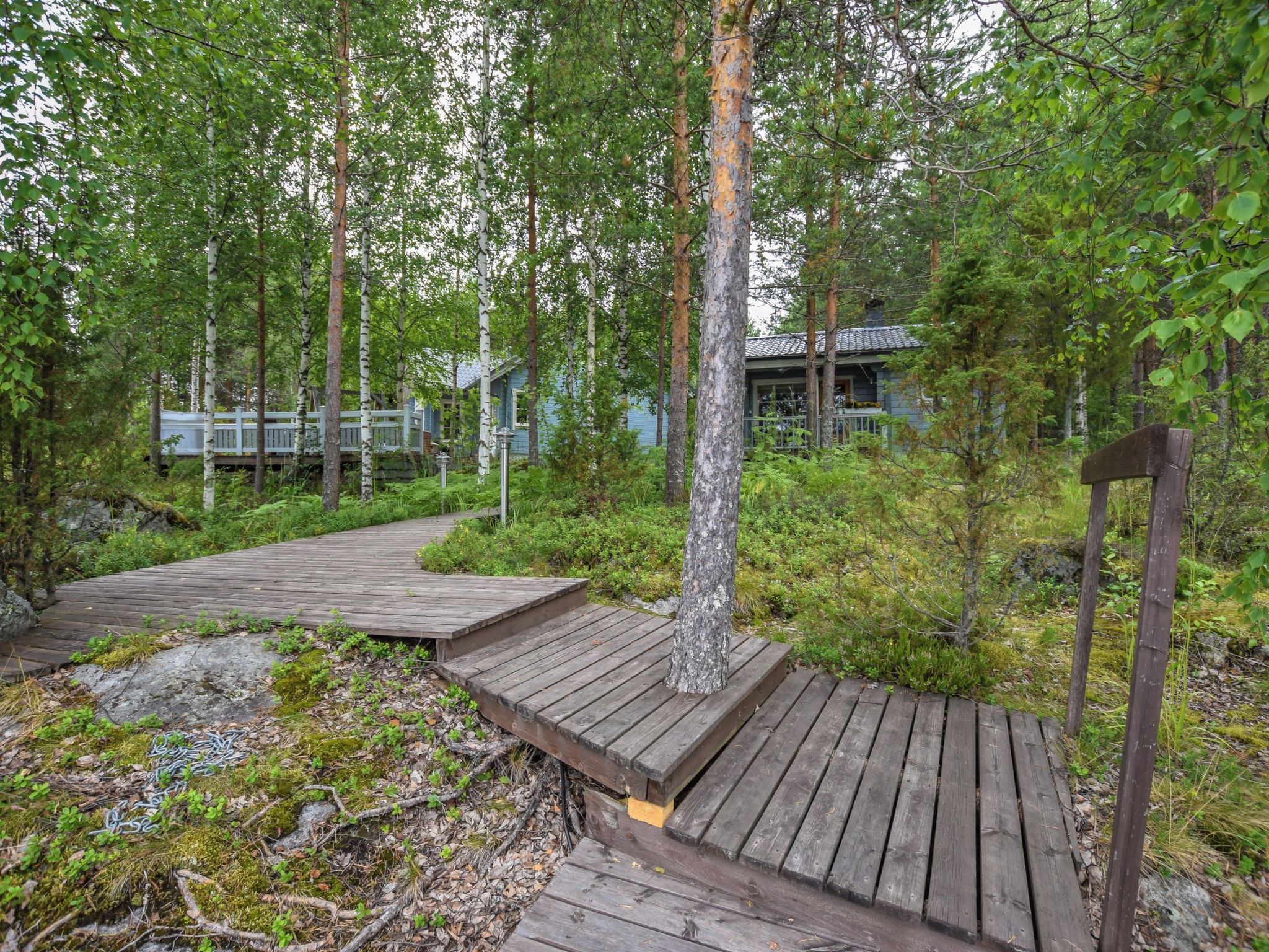 Una terraza de madera que lleva a una cabaña rodeada de un bosque frondoso.