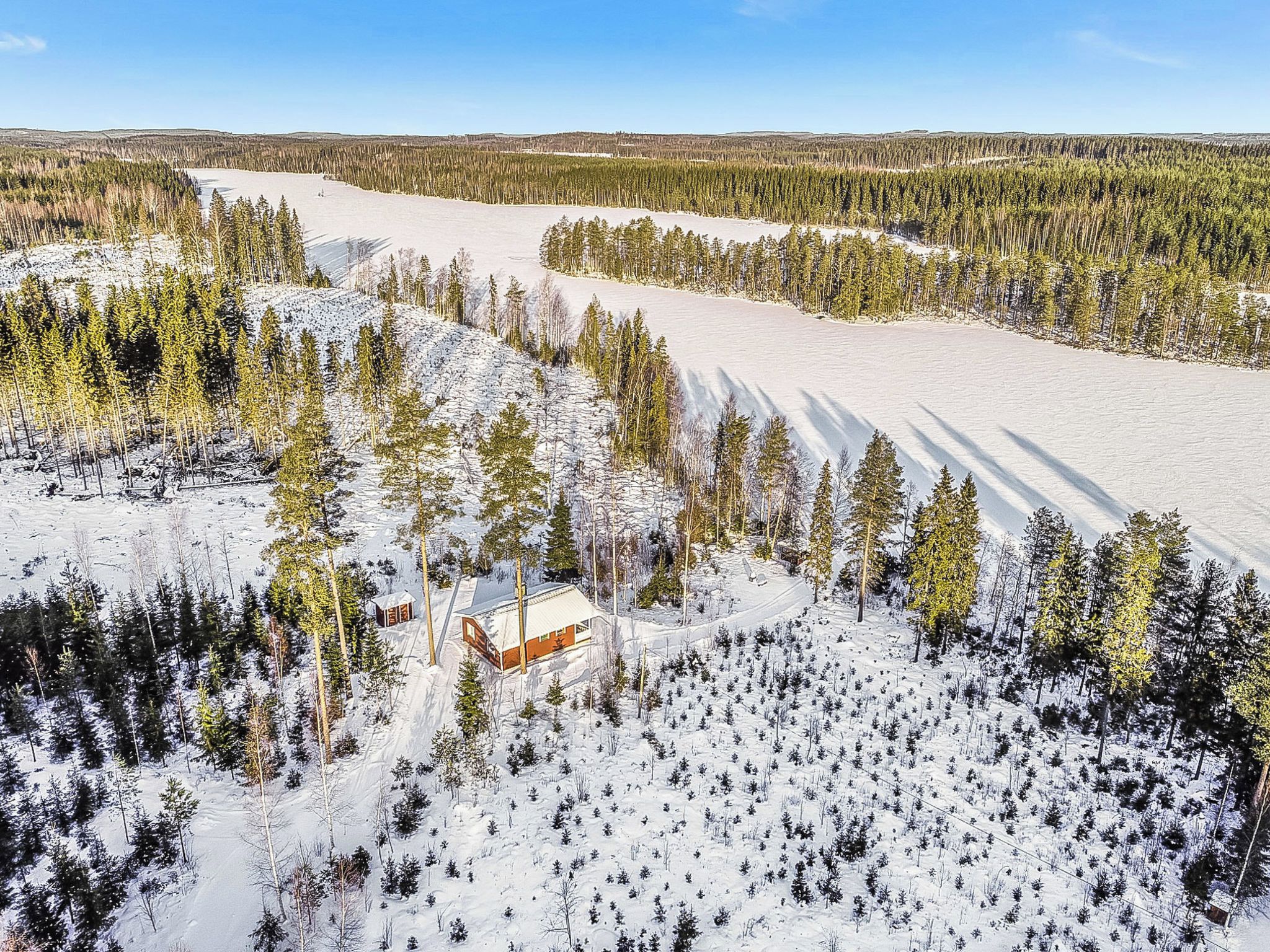 Una cabaña rodeada de árboles cubiertos de nieve y un cielo despejado.