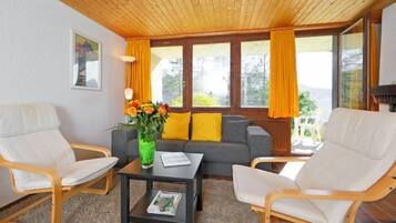 Télévision, cheminée, lecteur de DVD