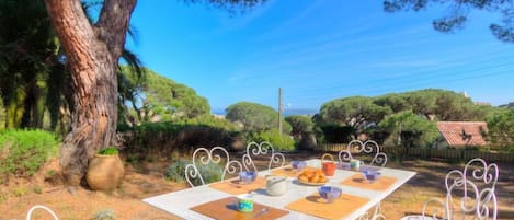Un área de comedor al aire libre con una mesa y sillas de metal blanco, rodeada de árboles y un cielo despejado.