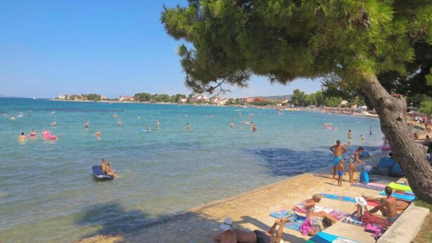 Une plage avec une eau claire, des gens qui se baignent et qui prennent des bains de soleil, et un arbre qui offre de l’ombre.