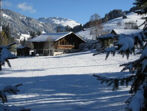 Exterior - Chalet Nyati by Interhome (Gstaad)