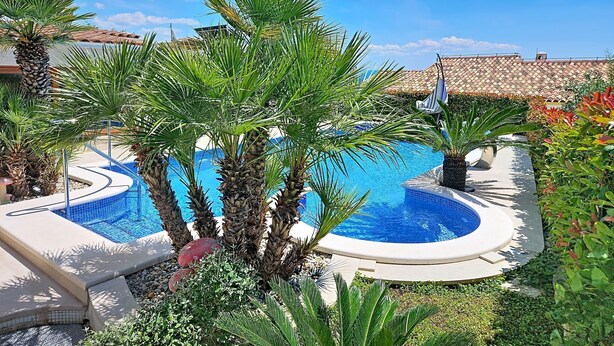A pool area with palm trees, a hot tub, and a tiled roof in the background.