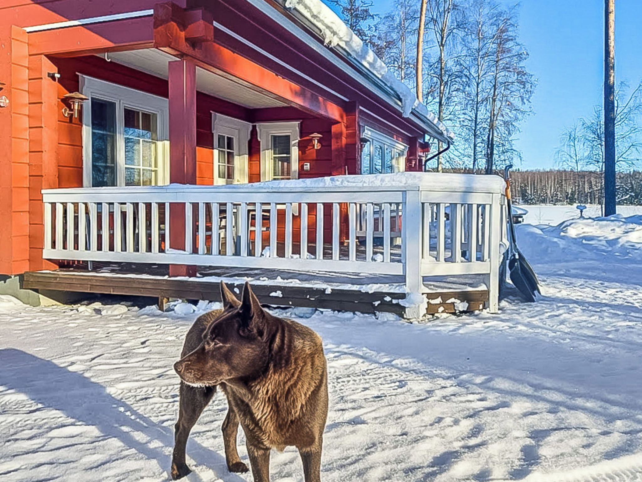 A house with a red exterior, a white porch, and a dog standing in the snow.