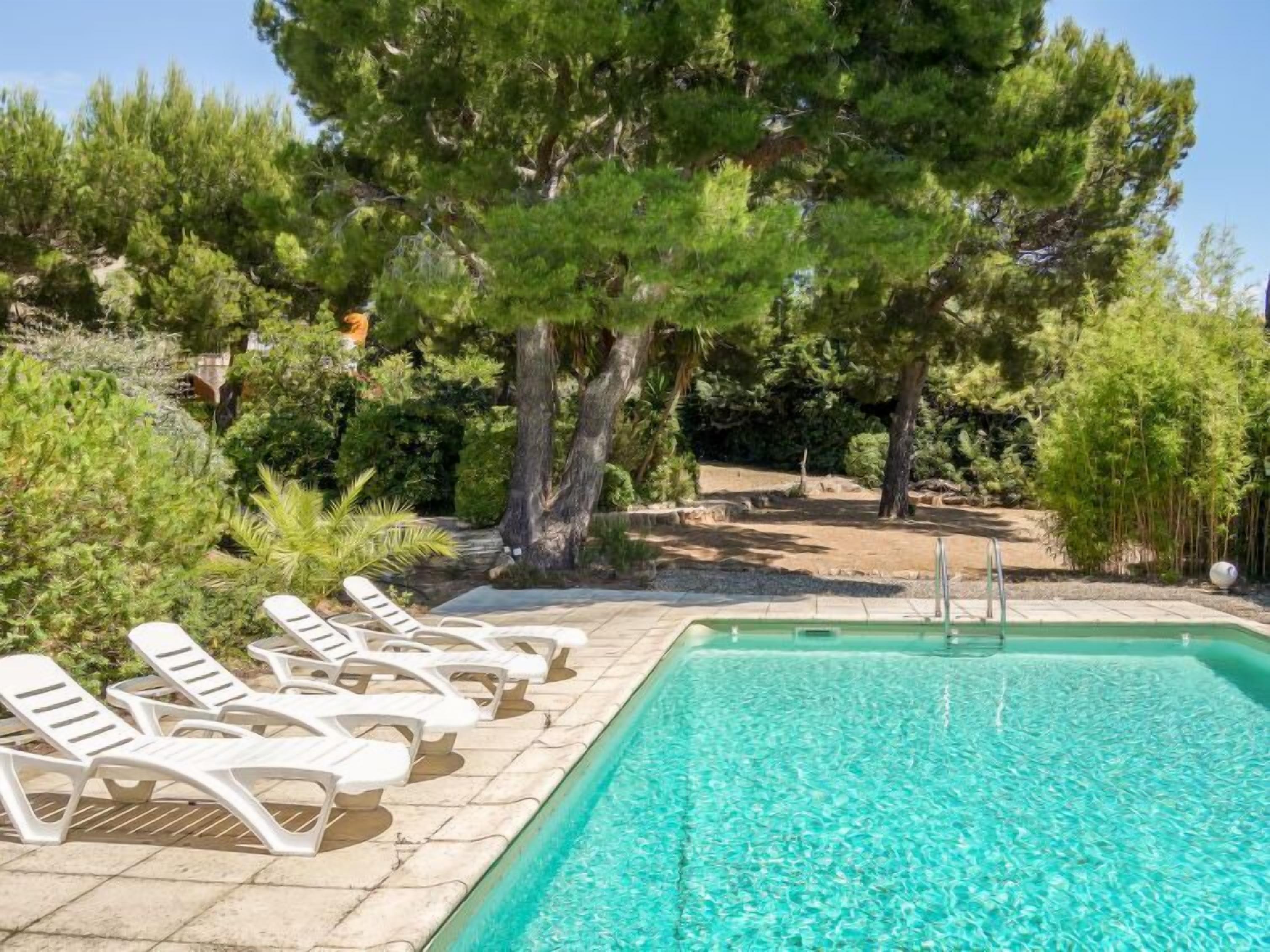 A swimming pool with white lounge chairs and trees in the background.