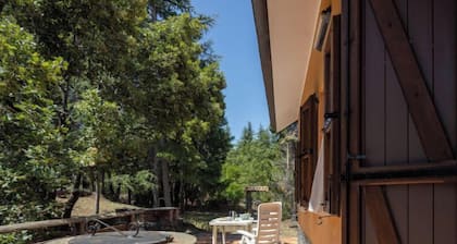 Mareneve by Interhome