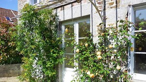 Un bâtiment en pierre avec une fenêtre et un rosier devant.
