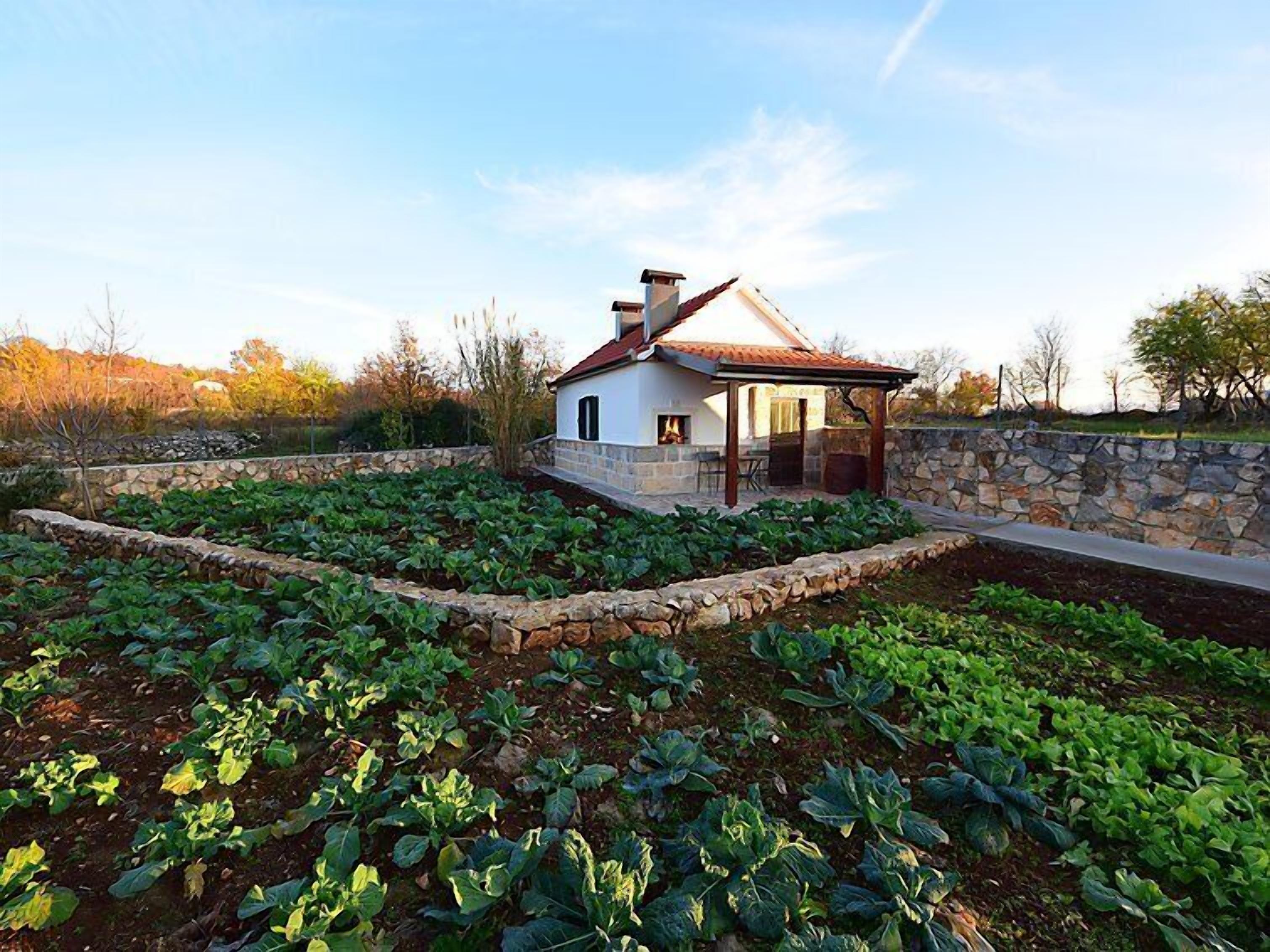 المنطقة المحيطة بالمنشأة