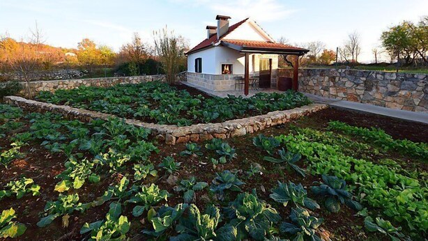 A house with a stone wall and a garden with leafy plants. - Bili dvori by Interhome (Trilj)