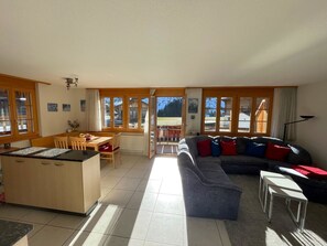 Tv, eldstad och dvd-spelare