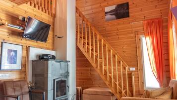 电视、DVD 播放器