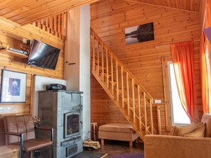 电视、DVD 播放器