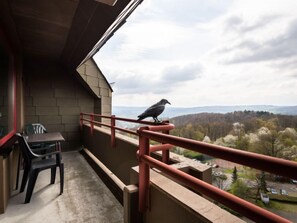 Outdoor dining - Rheinblick (A1208) by Interhome (Lahnstein (Koblenz))