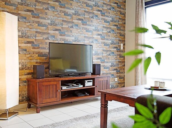 تلفزيون، مشغل دي في دي