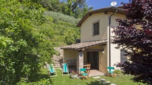 A house with a patio, stone steps, and outdoor seating. - Il Girasole by Interhome (Camaiore)