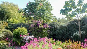 Ein Garten mit verschiedenen Pflanzen und Blumen, darunter rosa und violette Blüten, sowie ein Baum mit grünem Laub.