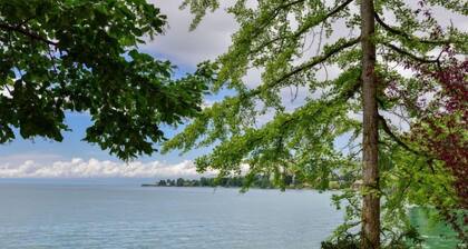 Duck House by Interhome