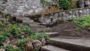 A set of stone steps leading up a rocky hillside, surrounded by greenery and moss. - Duck House by Interhome (Montreux)