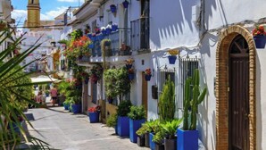 A narrow street lined with white buildings, some with balconies adorned with potted plants.