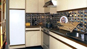 A compact kitchen with a refrigerator, stove, and sink. - Disentiserhof Aua Cotschna Avvanzino by Interhome (Disentis)