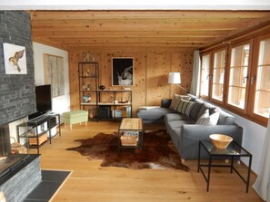 Fernseher, Kamin