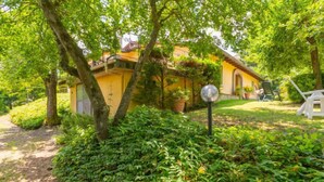 Une maison jaune, entourée d’une végétation luxuriante, avec un chemin dégagé et une chaise blanche.