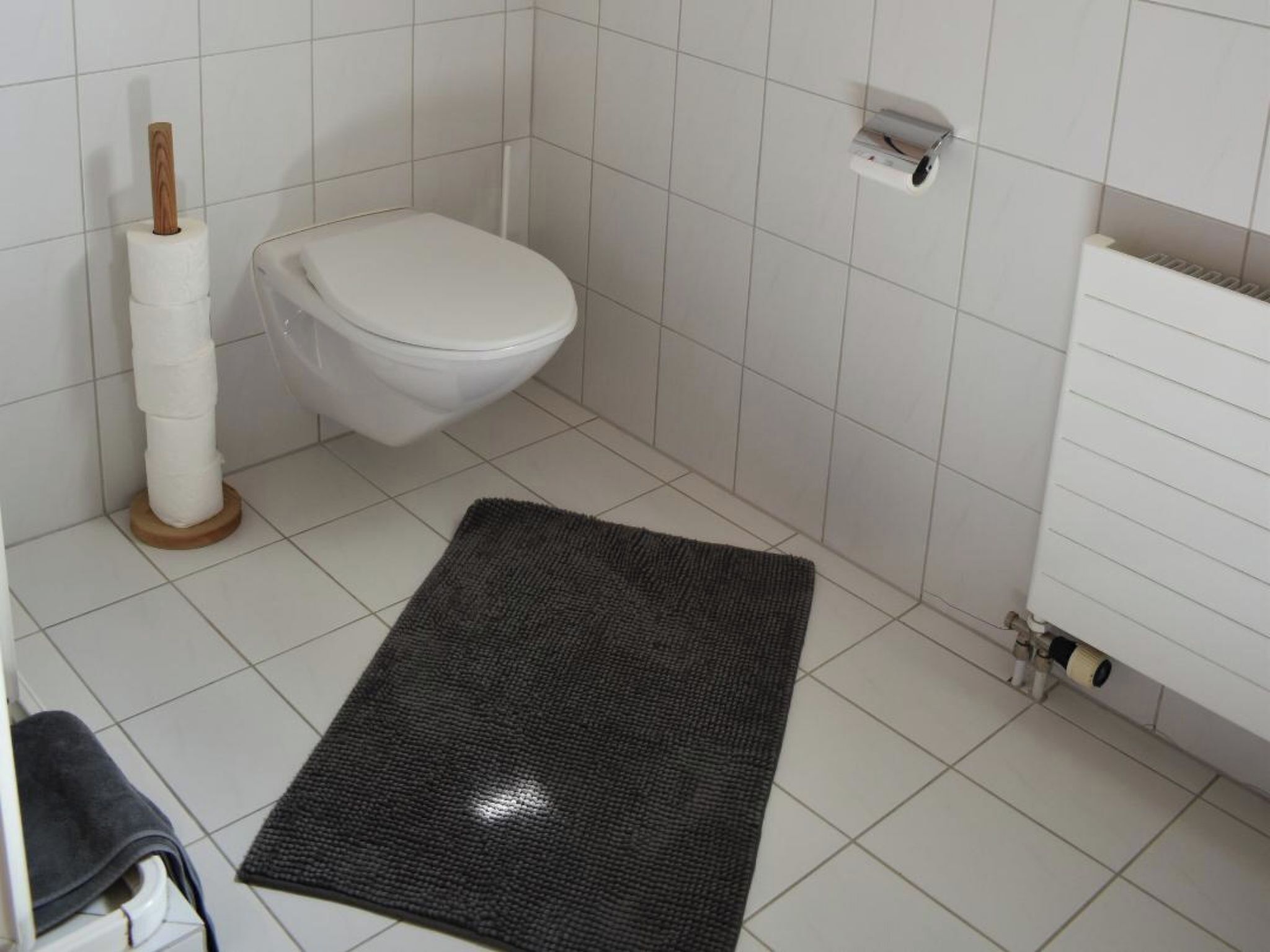 Une salle de bain équipée d’un WC, d’un porte-rouleau de papier toilette, d’un tapis et d’un radiateur.