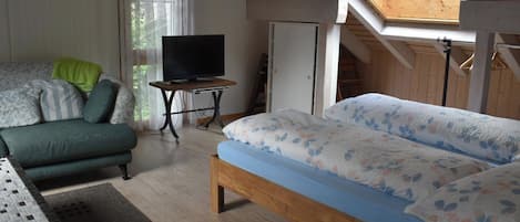 A bedroom with a bed, a TV on a stand, a sofa, and a window with a view.