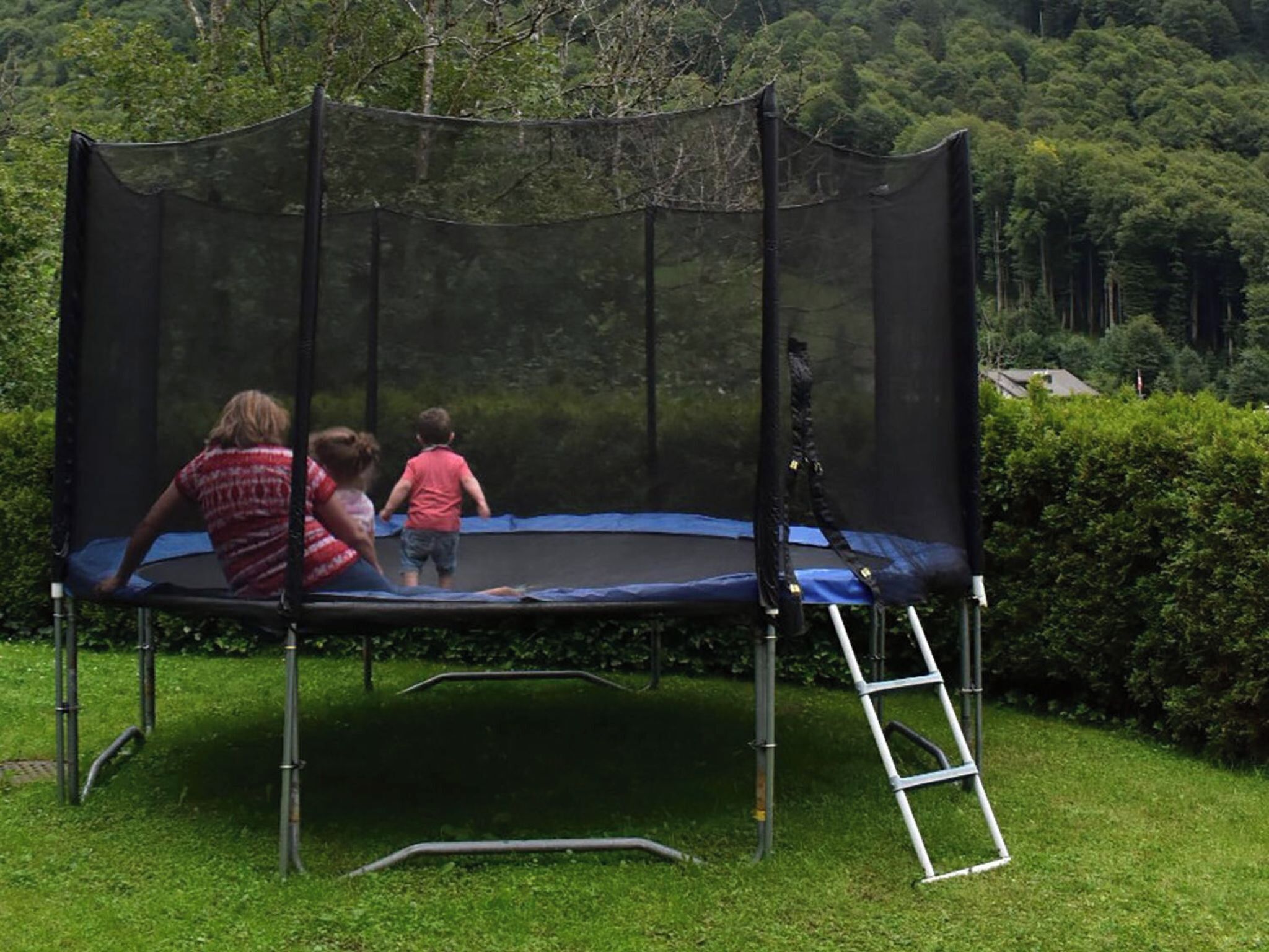 A trampoline with a safety net, set on a grassy lawn with a hedge and trees in the background.