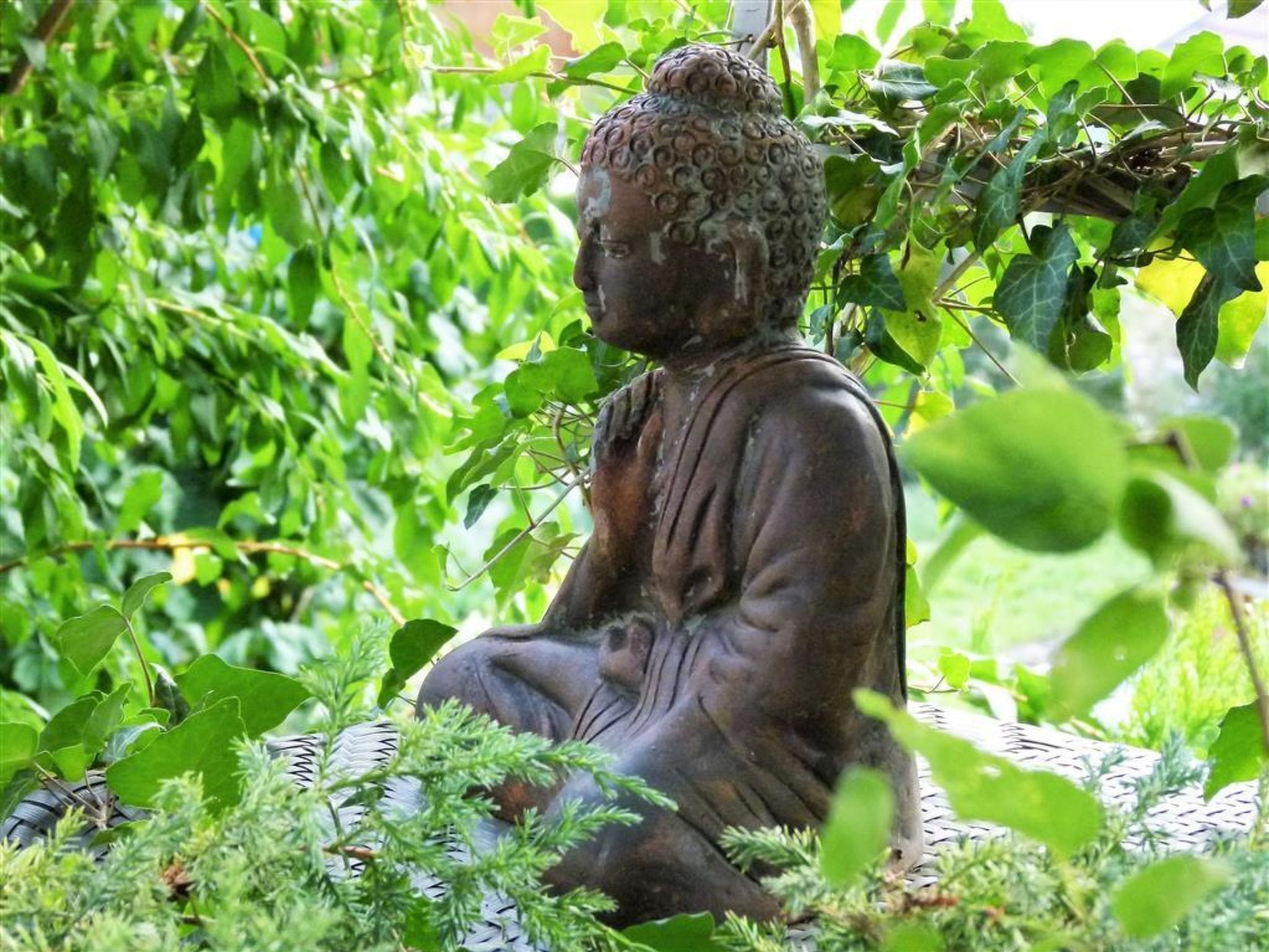 Estátua de uma figura sentada, rodeada por vegetação exuberante.