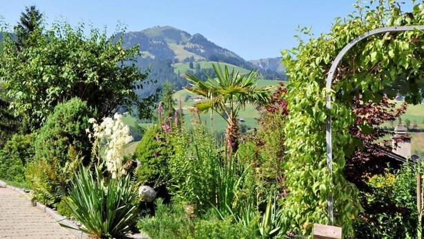 Un jardin où l’on trouve une grande variété de plantes et d’où l’on peut admirer des montagnes lointaines.