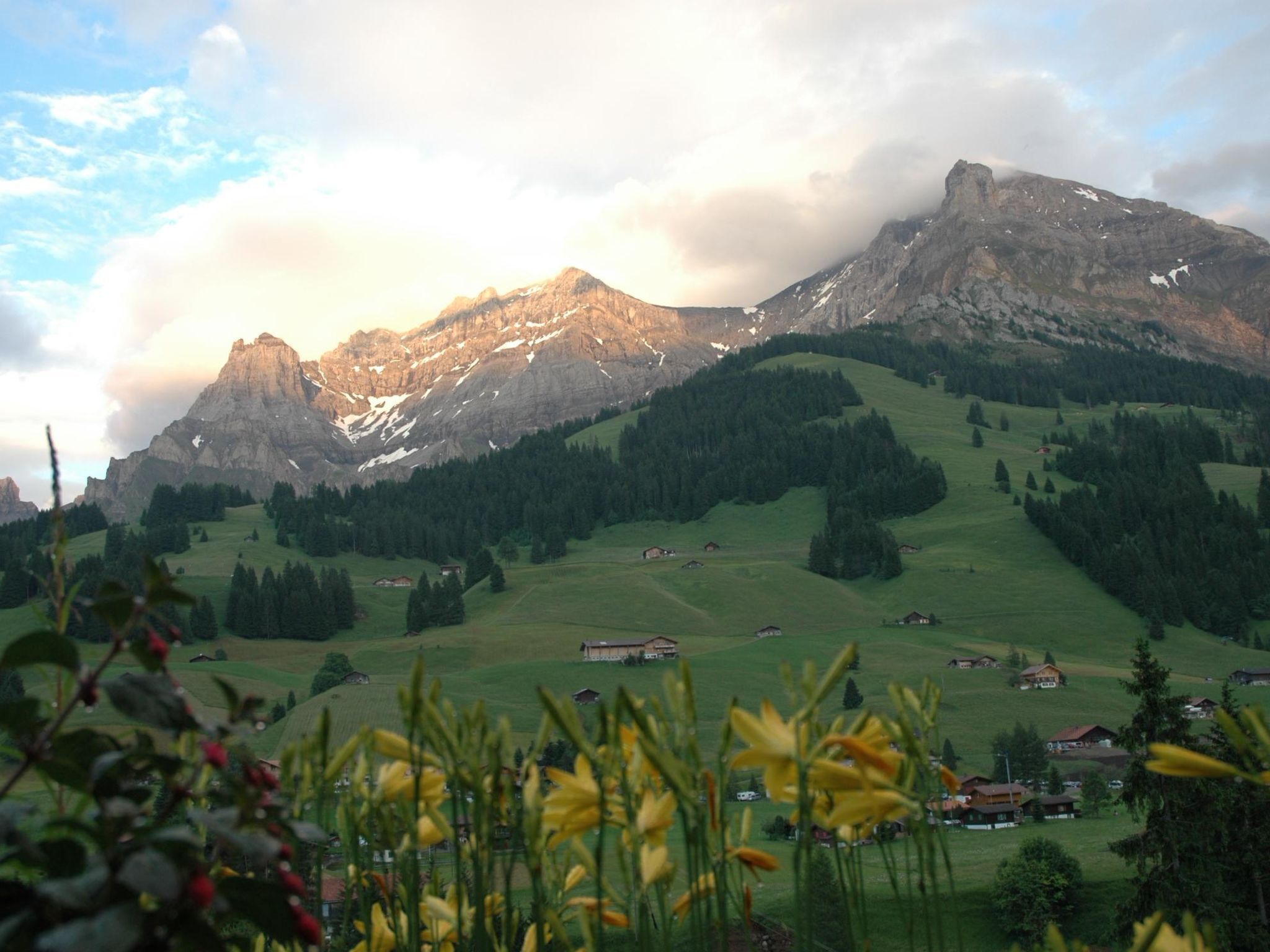 Un paysage montagneux avec un sommet imposant, des vallées verdoyantes, des maisons éparpillées et, au premier plan, un tapis de fleurs jaunes.