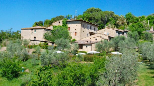 A hillside villa with multiple buildings, surrounded by olive groves and trees. - Le Buche by Interhome (Castellina in Chianti)