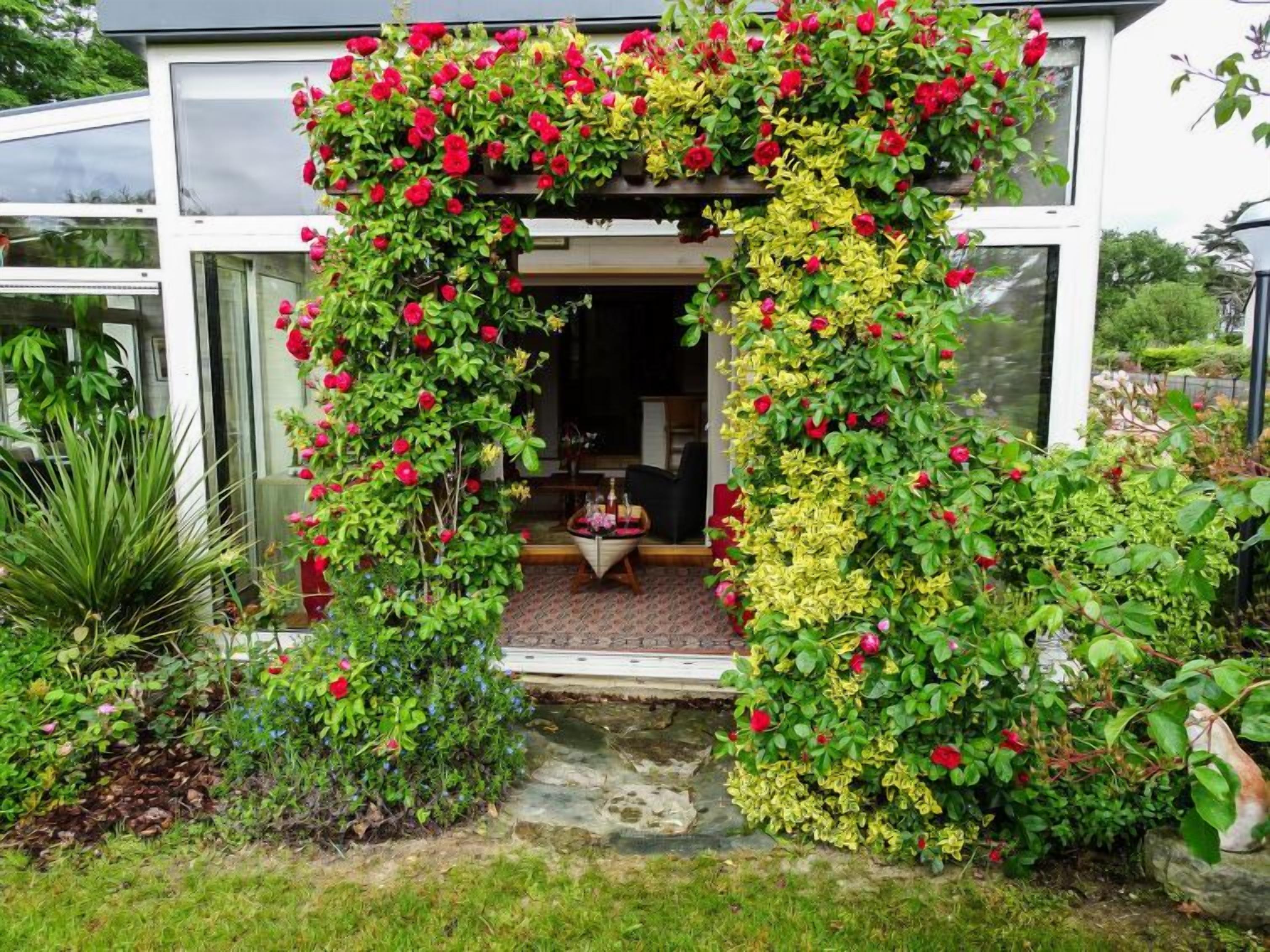 A modern house with a glass door entrance, surrounded by lush greenery and a variety of plants.