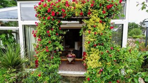 Una casa moderna con puerta de vidrio, rodeada de exuberante follaje y diversas plantas.