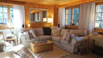 TV, fireplace, video-game console, DVD player