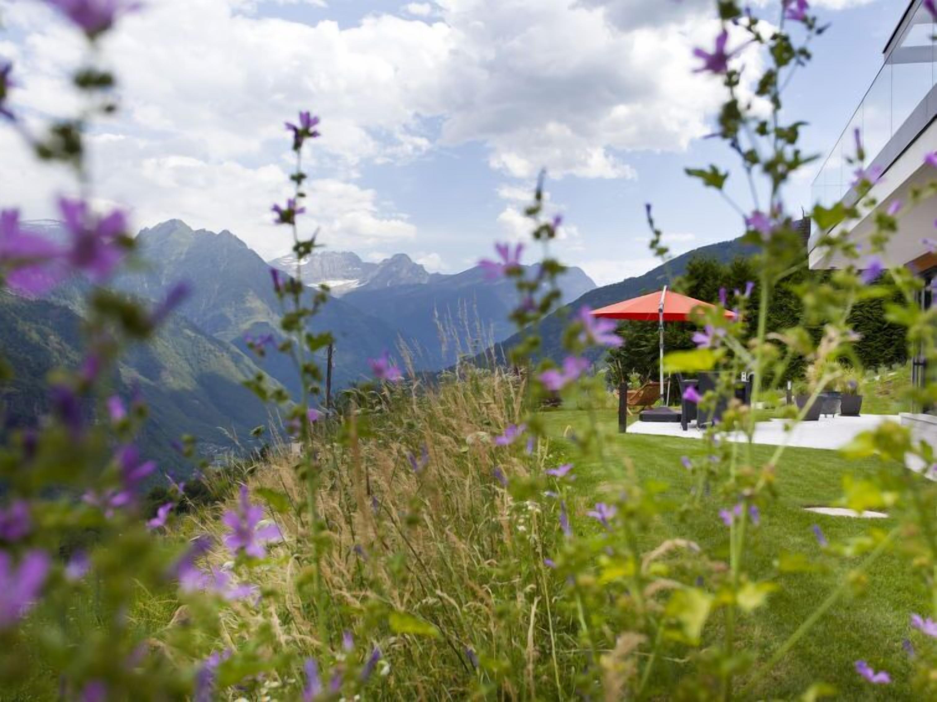 A mountainous landscape with a view of distant peaks, a grassy area with purple flowers, and a red umbrella.