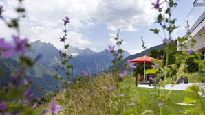 A mountainous landscape with a view of distant peaks, a grassy area with purple flowers, and a red umbrella. - Apartment Zenkei by Interhome (Leontica)