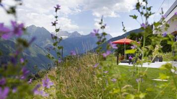 A mountainous landscape with a view of distant peaks, a grassy area with purple flowers, and a red umbrella.