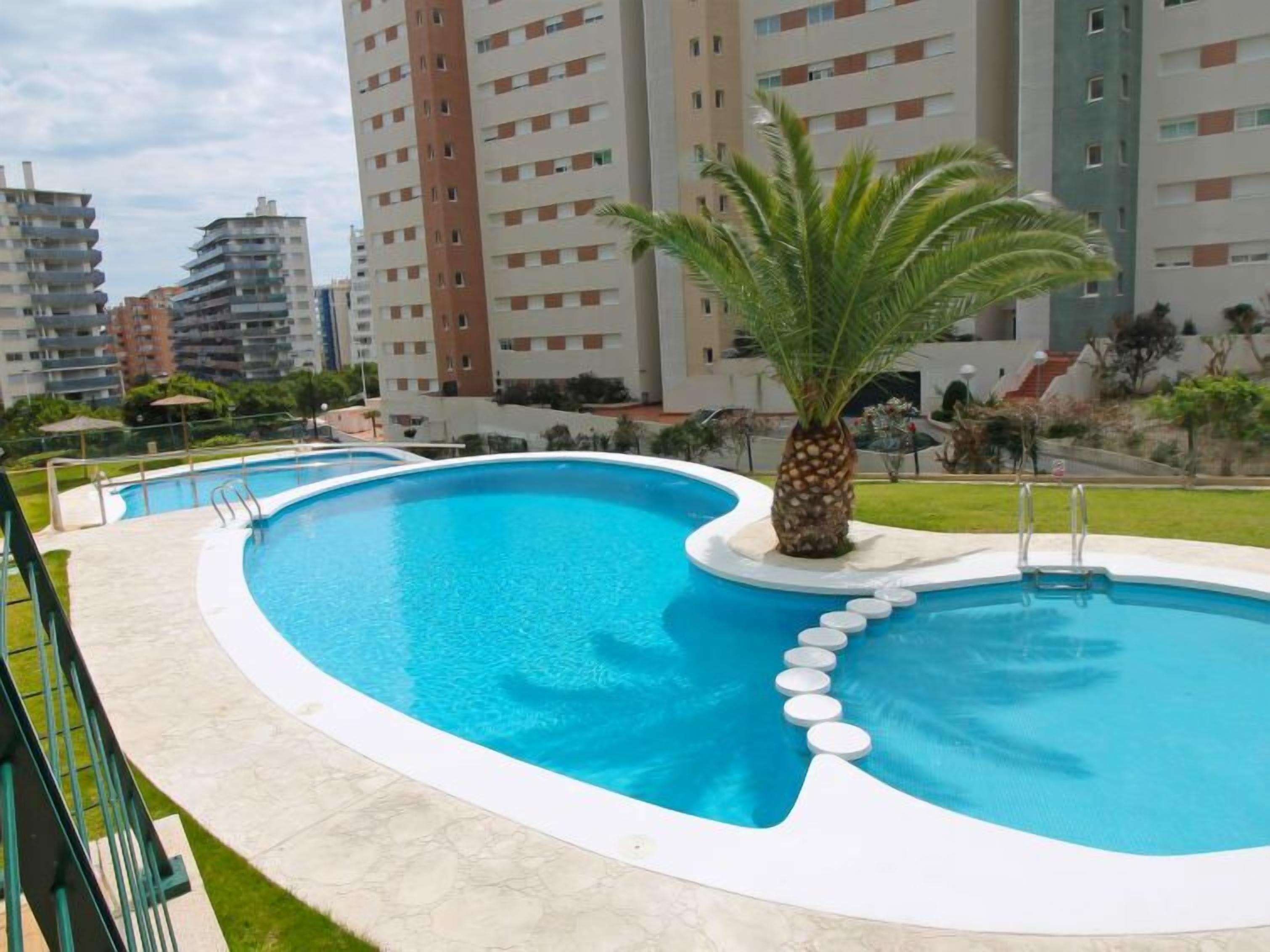 A swimming pool with a palm tree and a staircase leading into the water.