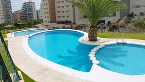 Una piscina con una palmera y una escalera que da al agua.