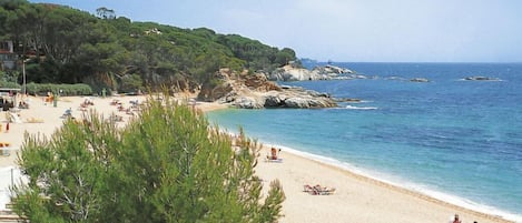 Una spiaggia nelle vicinanze