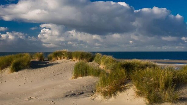 Beach nearby - Apartment Ster by Interhome (Wissenkerke)