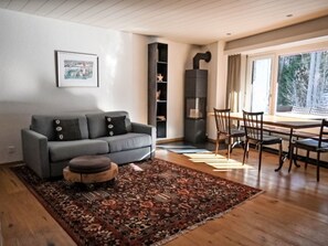 Fernseher, Kamin