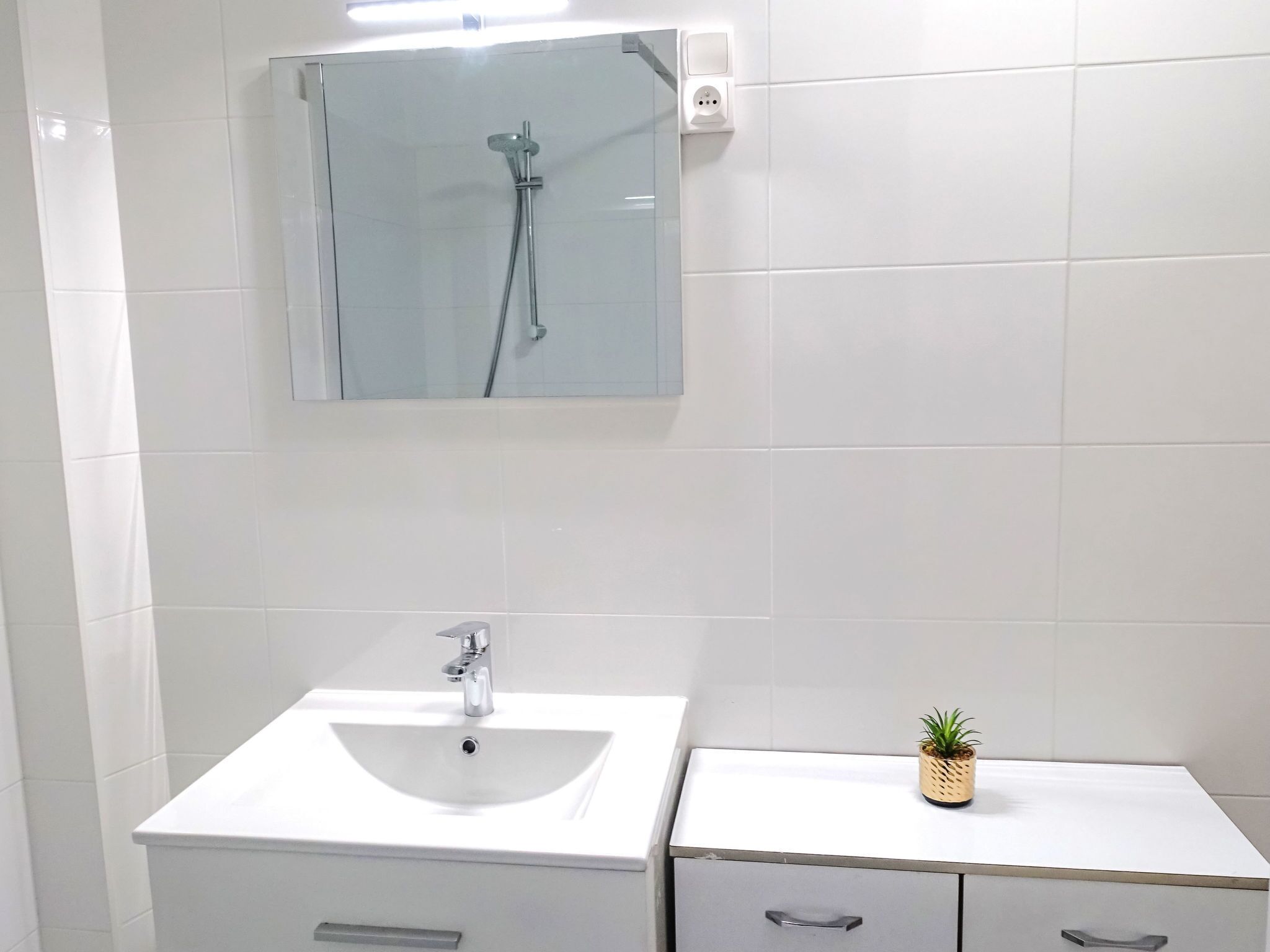 Une salle de bain avec un lavabo blanc, un miroir et une douche. Une petite plante est posée sur le comptoir.